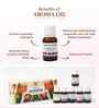 Set Of 6 Multicolor Collection Of 6 Fragrances Aroma Oil