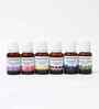 Set Of 6 Multicolor Collection Of 6 Fragrances Aroma Oil