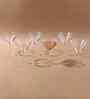 Set of 6 Transaprent Crystal Lead Free Glass 190ml Martini Glasses