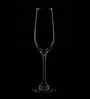 Set of 6 Transparent Crystal Lead Free Glass 230ml Champagne Glasses