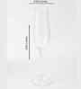 Set of 6 Transparent Crystal Lead Free Glass 230ml Champagne Glasses