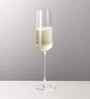 Set of 6 Transparent Crystal Lead Free Glass 250ml Champagne Flute