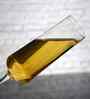 Set of 6 Transparent Crystal Lead Free Glass 250ml Champagne Flute