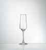 Set of 6 Transparent Crystal Lead Free Glass 250ml Champagne Flute