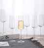 Set of 6 Transparent Crystal Lead Free Glass 250ml Champagne Flute