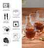 Set of 6 Transparent Glass Mugs