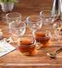 Set of 6 Transparent Glass Mugs