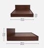 Seto King size Bed in Planket Walnut Finish With Full Hydraulic Storage