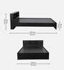 Seto Queen Size Bed in Wenge finish with Headboard Storage