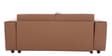 Shannon Sofa Cum Bed in Brown Colour Shannon Sofa Cum Bed in Brown Colour