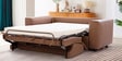 Shannon Sofa Cum Bed in Brown Colour