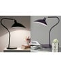 Noel Black Study Lamp With Mild Steal (MS) Base