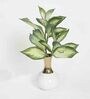 Polyester Daze Shaded Green Dieffenbachia Without Pot Artificial Plant