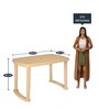 Shahenshah Plastic Table and Chair Set in Marble Beige Colour with 4 Chairs