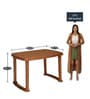 Shahenshah Plastic Table and Chair Set in Pear wood Colour with 4 Chairs