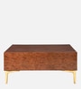 Shanon  Coffee Table in Brown Colour