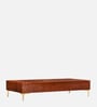Shanon  Coffee Table in Brown Colour