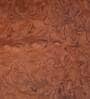Shanon  Coffee Table in Brown Colour