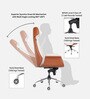 Shark Leatherette High Back Office Chair with Knee Tilt Mechanism in Cream and Tan Colour