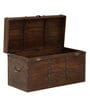 Shawna Solid Wood Trunk in Dark Natural Finish