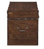 Shawna Solid Wood Trunk in Dark Natural Finish