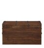 Shawna Solid Wood Trunk in Dark Natural Finish