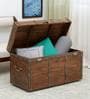 Shawna Solid Wood Trunk in Dark Natural Finish