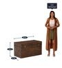 Shawna Solid Wood Trunk in Dark Natural Finish
