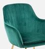 Sheeny Ribbed Velvet Guest Chairs In Green  Colour
