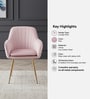 Sheeny Ribbed Velvet Guest Chairs In Pink Colour