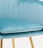 Sheeny Ribbed Velvet Guest Chairs In Sky Blue  Colour