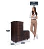 Hallam Shoe Rack With Seating In Brown Finish