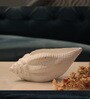 Shell White Big Table Top