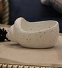 Shell White with Black dot Small Table Top