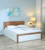 Shine Queen Size Bed in Gloss Finish with Hydraulic Storage