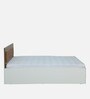 Shine Queen Size Bed in Gloss Finish with Hydraulic Storage