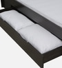 Shinju Upholstered Queen Size Bed in Wenge Finish with Drawer Storage