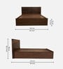 Shinobu III Queen Size Bed in Walnut Colour With Box Storage & Solid Wood Headboard