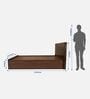 Shinobu III Queen Size Bed in Walnut Colour With Box Storage & Solid Wood Headboard