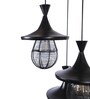 Shinova Black Iron Hanging Light  | E27 holder | without Bulb |  Eliante
