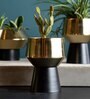 Shiny Gold and Black Iron Medium Fiore Desk Pot