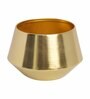 Shiny Gold Iron Santos Desk Pot