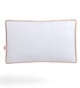 Shubham Pu Foam Single 4" Thick Mattress with a Pillow Insert