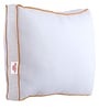 Shubham Pu Foam Single 4" Thick Mattress with a Pillow Insert