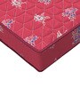 Shubham Pu Foam Single 4" Thick Mattress with a Pillow Insert