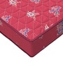 Shubham Rubberised Coir Single 4" Thick Mattress with a Pillow Insert