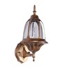 Shynix Copper Iron Wall Light  | E27 holder | without Bulb |  Eliante