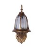 Shynix Copper Iron Wall Light  | E27 holder | without Bulb |  Eliante