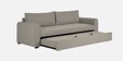 Sigma Fabric 3 Seater Convertible Sofa Cum Bed In Lit Grey Colour