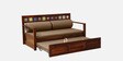 Siramika Sheesham Wood Pull Out Sofa Cum Bed In Honey Oak Finish